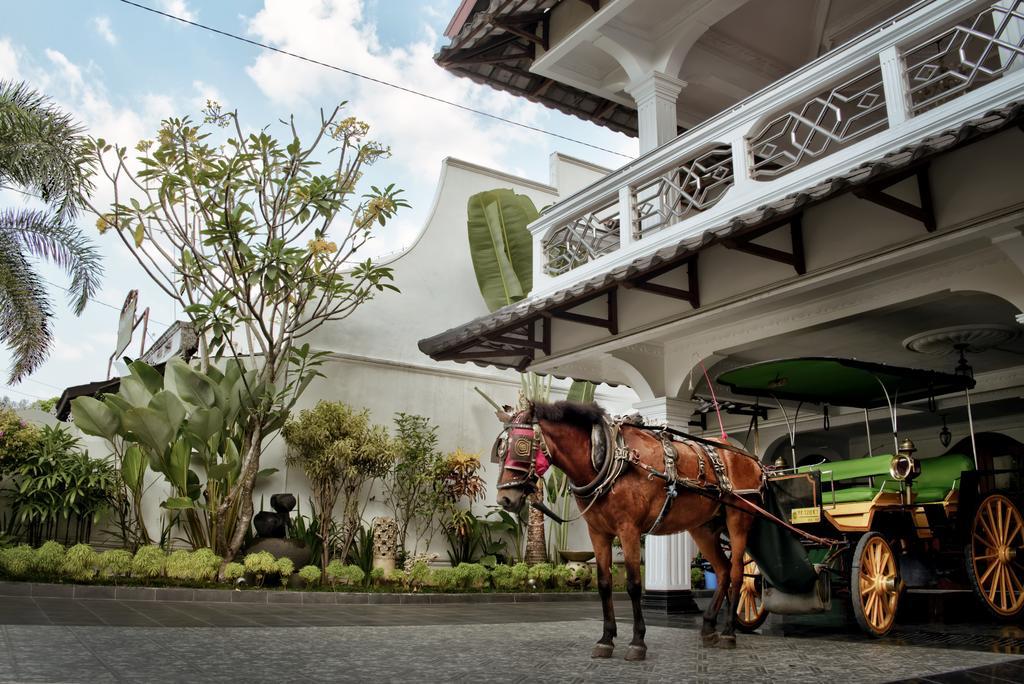 Raintree Boutique & Gallery Guest house Yogyakarta